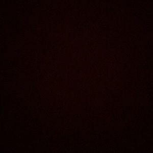 Meet your Posher, Bernice